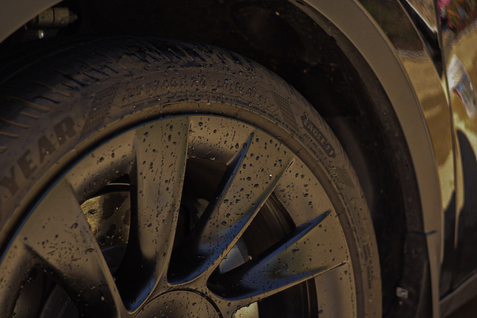 2023 Tesla Model Y — photo 1